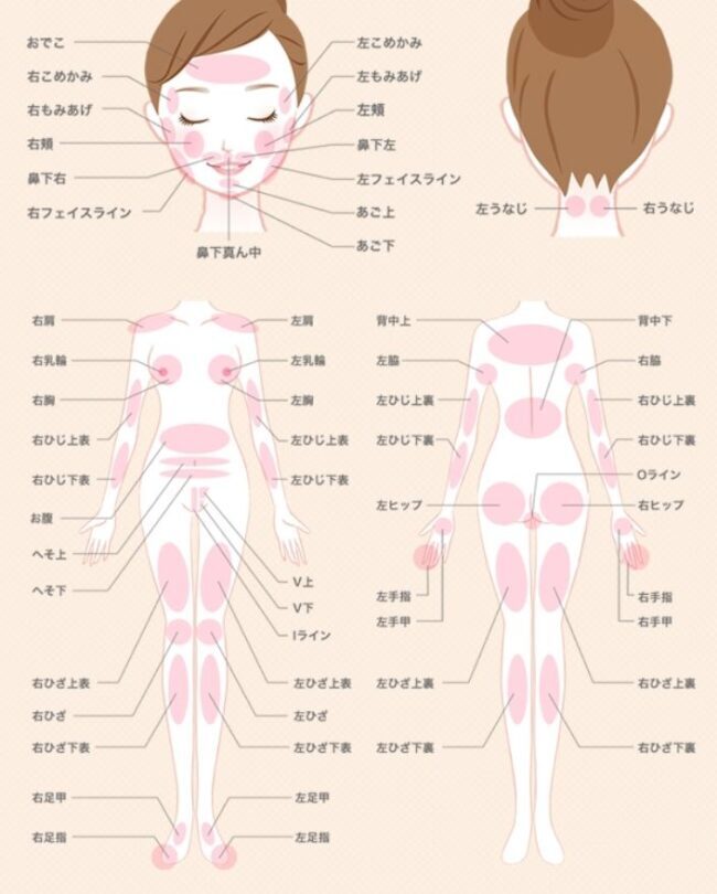 ストラッシュの全身脱毛の部位